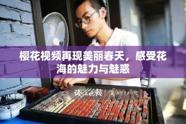 樱花视频再现美丽春天，感受花海的魅力与魅惑