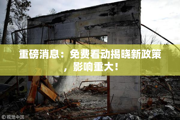 重磅消息：免费看动揭晓新政策，影响重大！