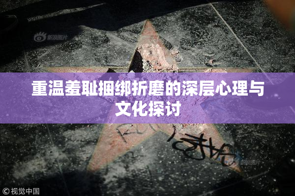 重温羞耻捆绑折磨的深层心理与文化探讨