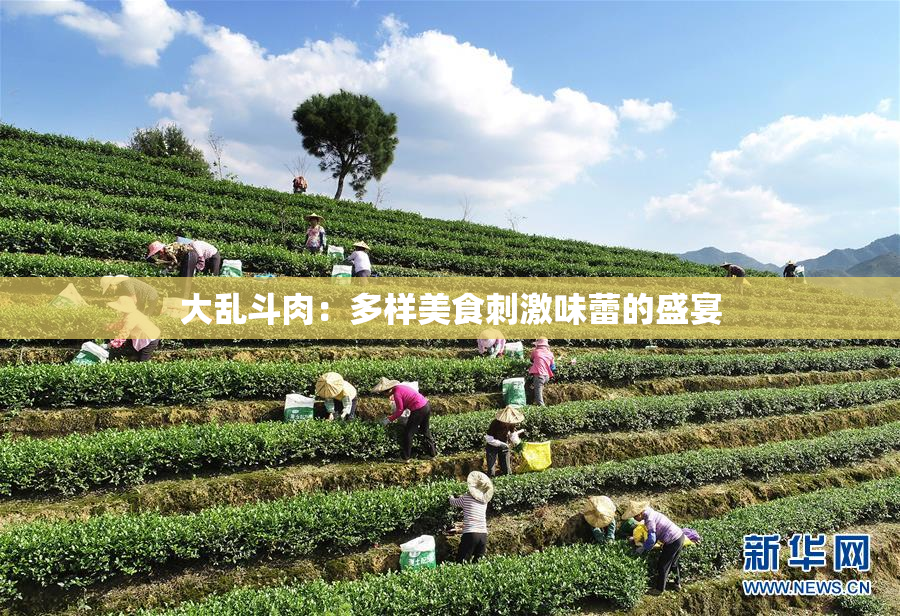 大乱斗肉：多样美食刺激味蕾的盛宴