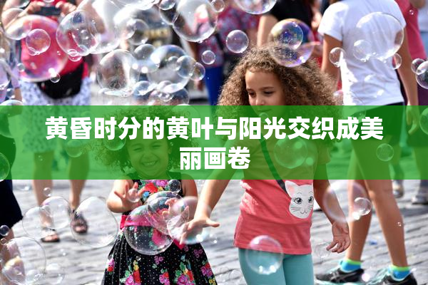 黄昏时分的黄叶与阳光交织成美丽画卷