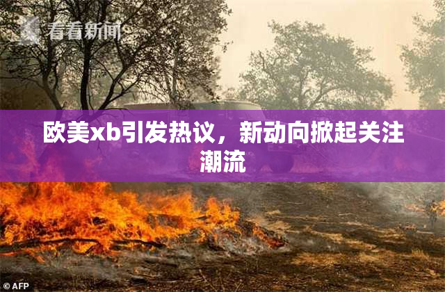 欧美xb引发热议，新动向掀起关注潮流