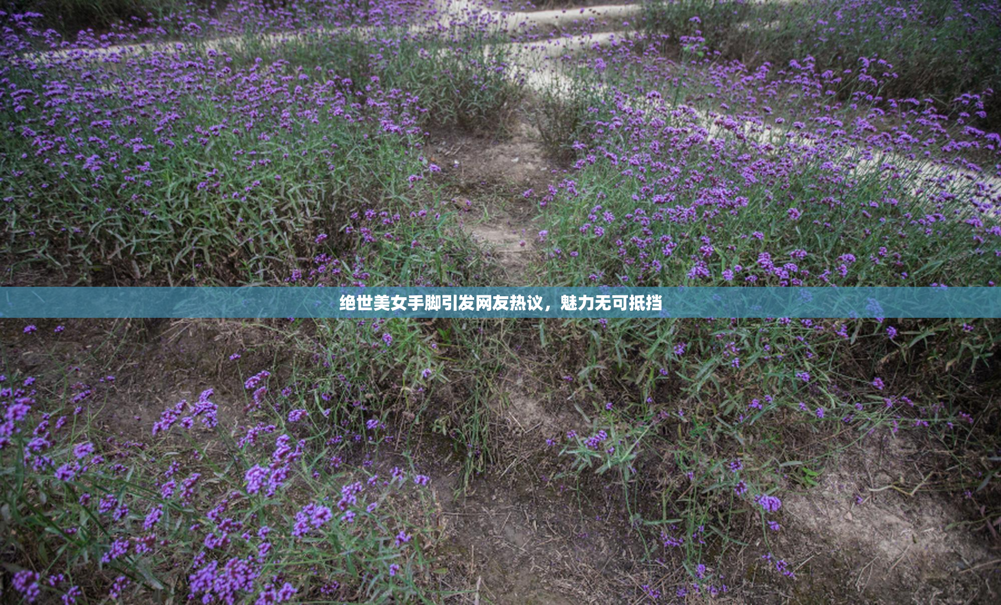 绝世美女手脚引发网友热议，魅力无可抵挡