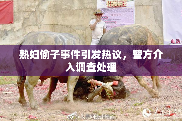 熟妇偷子事件引发热议，警方介入调查处理