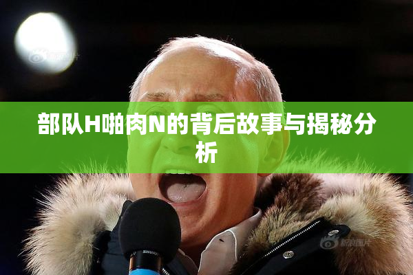 部队H啪肉N的背后故事与揭秘分析