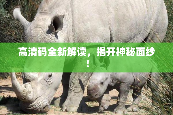 高清码全新解读，揭开神秘面纱！