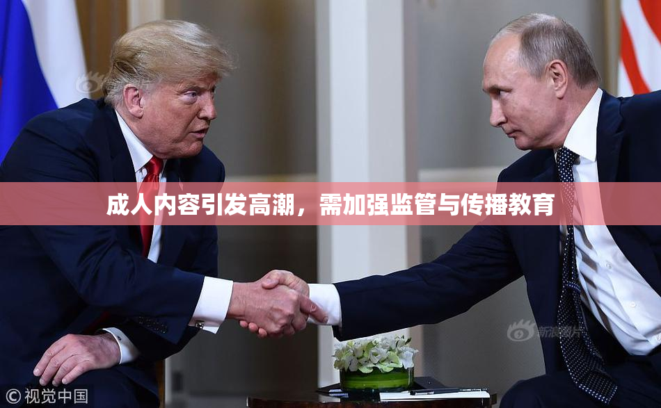 成人内容引发高潮，需加强监管与传播教育