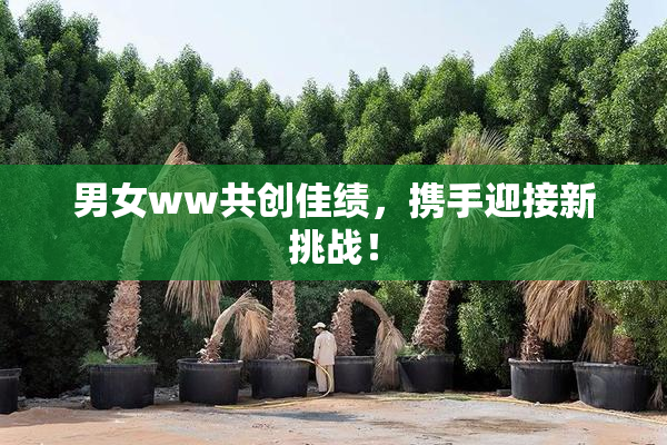 男女ww共创佳绩，携手迎接新挑战！