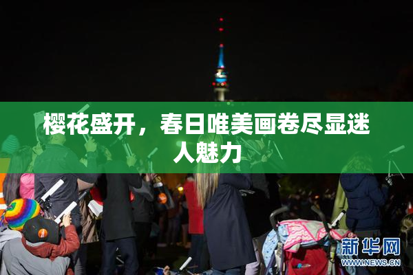樱花盛开，春日唯美画卷尽显迷人魅力