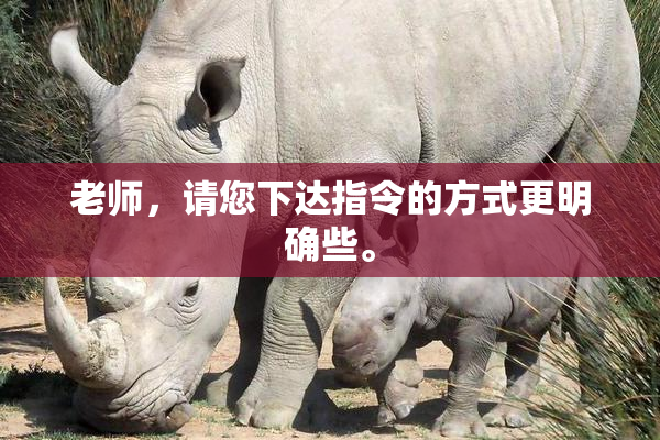 老师，请您下达指令的方式更明确些。