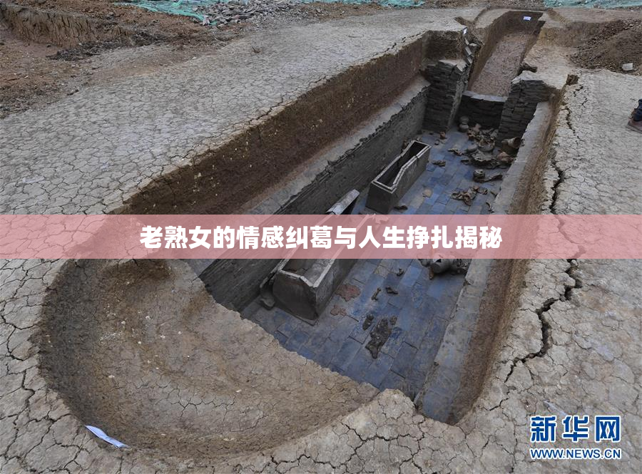 老熟女的情感纠葛与人生挣扎揭秘