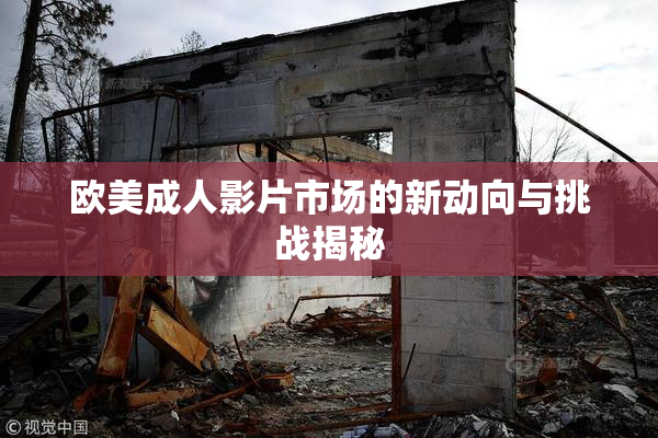 欧美成人影片市场的新动向与挑战揭秘