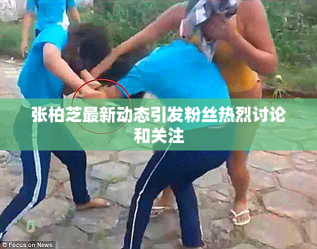 张柏芝最新动态引发粉丝热烈讨论和关注