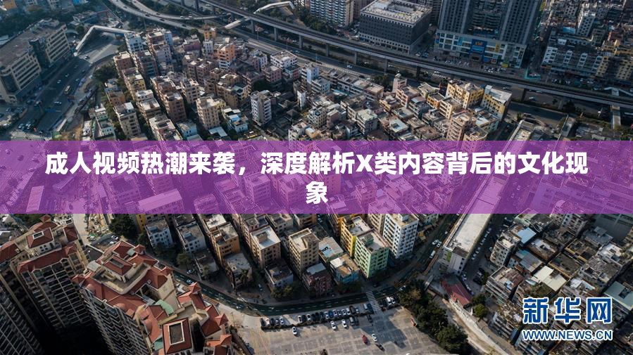 成人视频热潮来袭，深度解析X类内容背后的文化现象