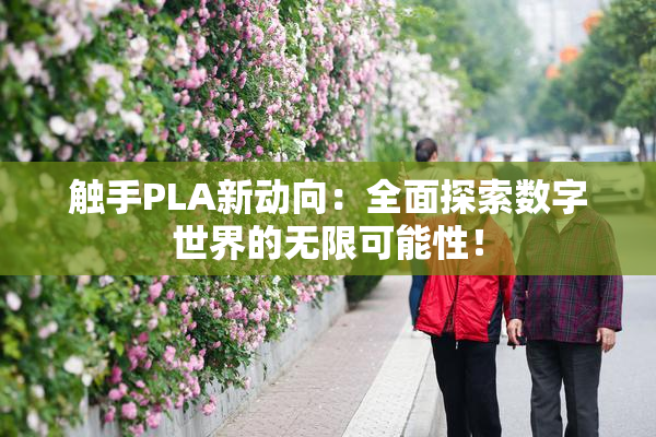 触手PLA新动向：全面探索数字世界的无限可能性！