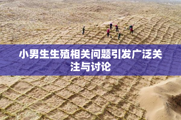 小男生生殖相关问题引发广泛关注与讨论
