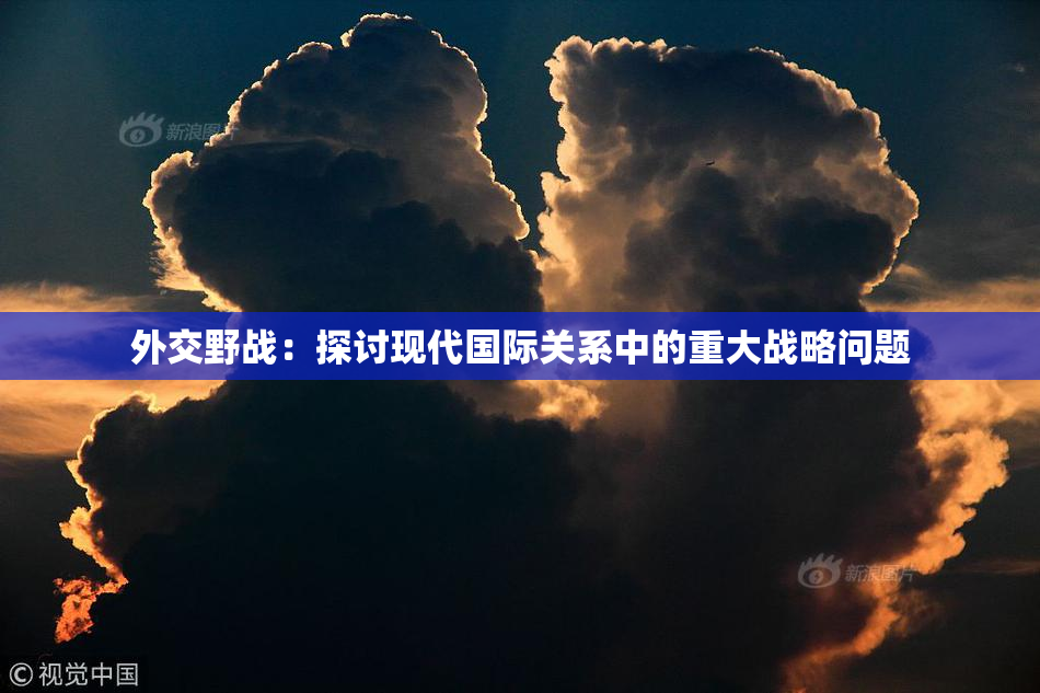 外交野战：探讨现代国际关系中的重大战略问题