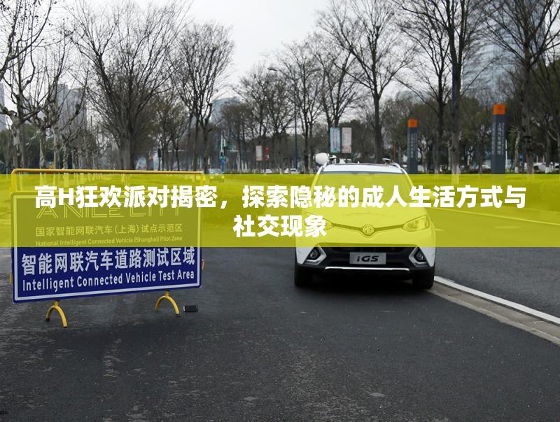 高H狂欢派对揭密，探索隐秘的成人生活方式与社交现象