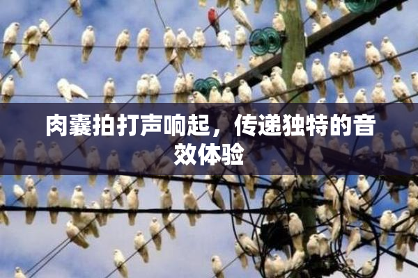 肉囊拍打声响起，传递独特的音效体验