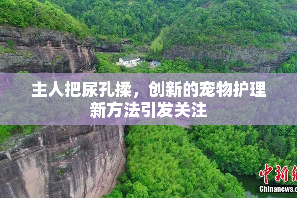 主人把尿孔揉，创新的宠物护理新方法引发关注
