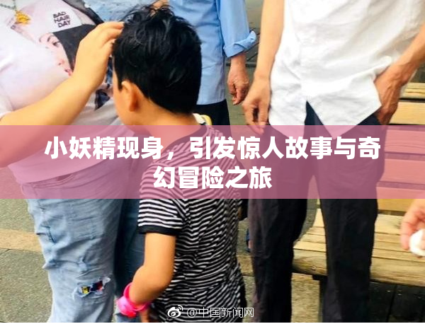 小妖精现身，引发惊人故事与奇幻冒险之旅