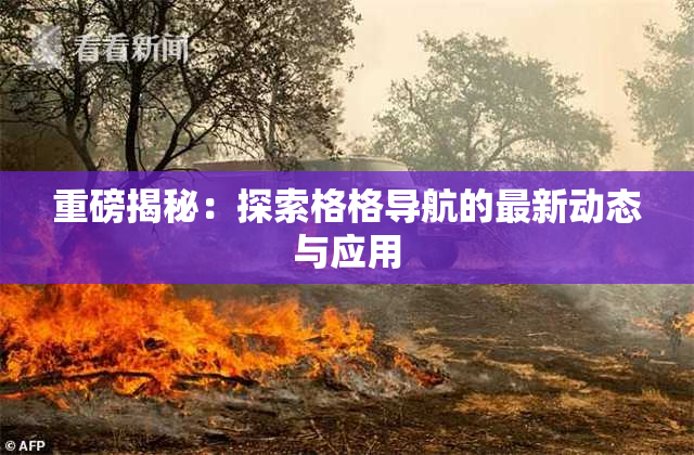 重磅揭秘：探索格格导航的最新动态与应用
