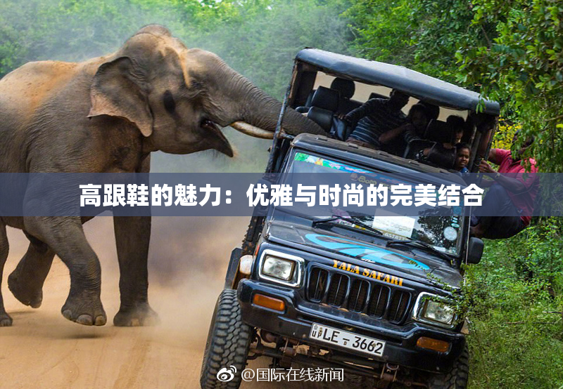 高跟鞋的魅力：优雅与时尚的完美结合
