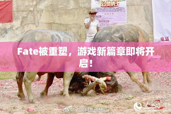 Fate被重塑，游戏新篇章即将开启！