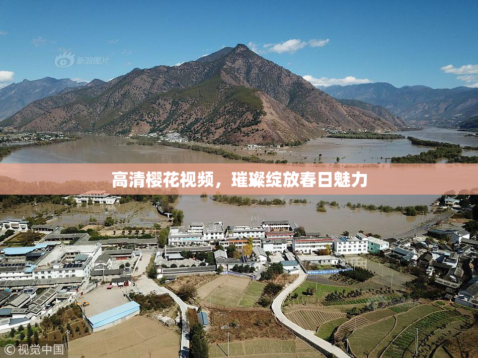 高清樱花视频，璀璨绽放春日魅力