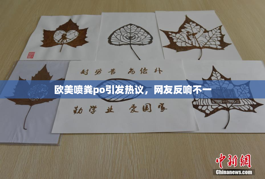 欧美喷粪po引发热议，网友反响不一
