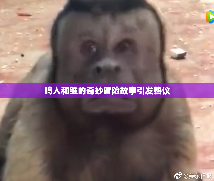 鸣人和雏的奇妙冒险故事引发热议
