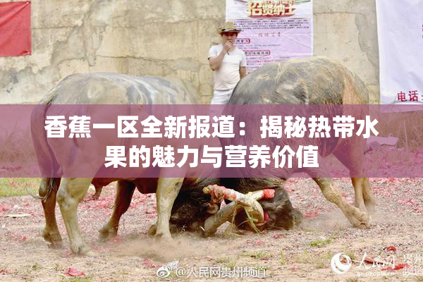 香蕉一区全新报道：揭秘热带水果的魅力与营养价值