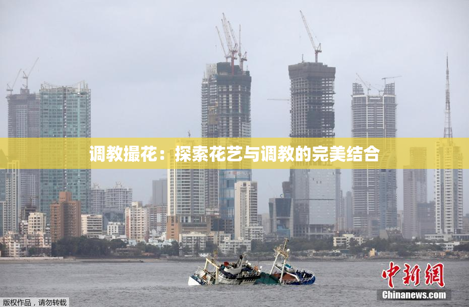 调教撮花：探索花艺与调教的完美结合