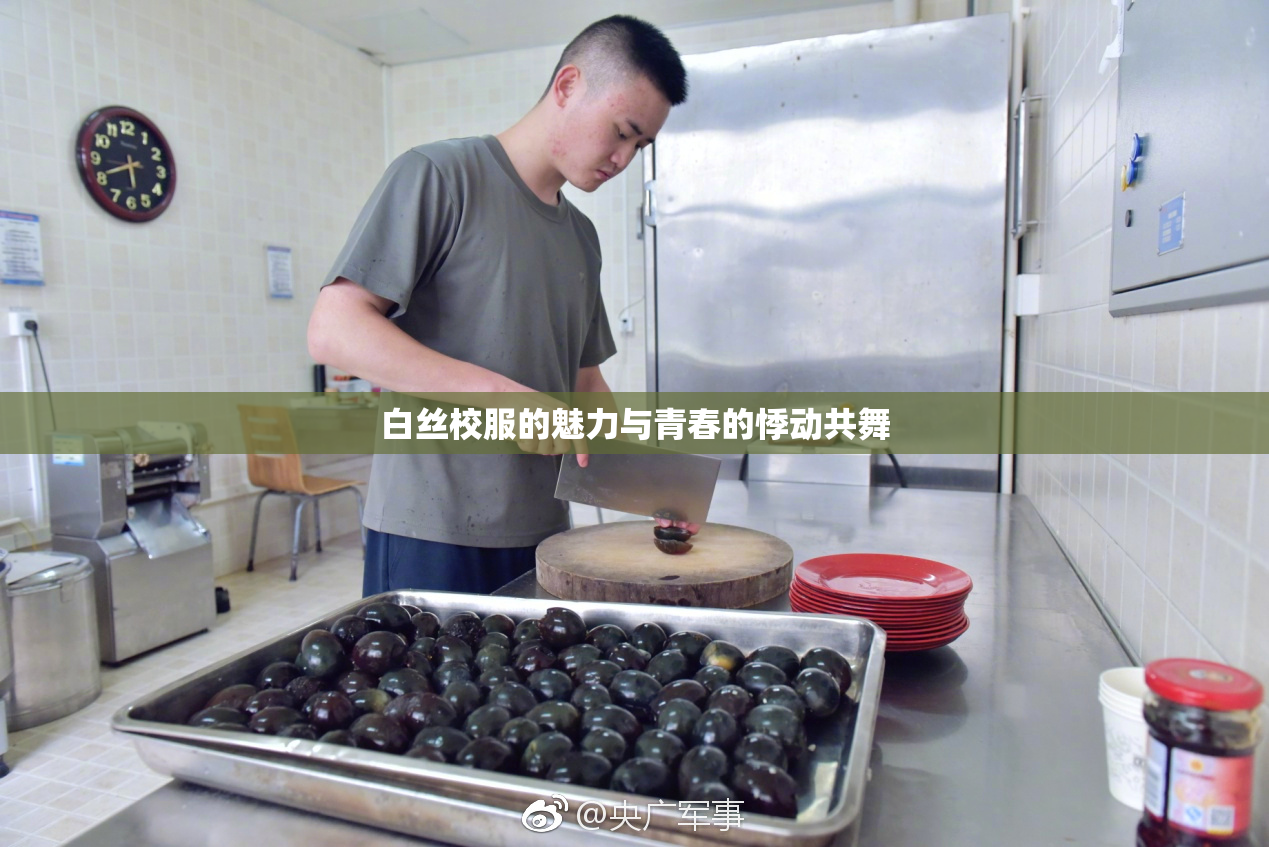 白丝校服的魅力与青春的悸动共舞