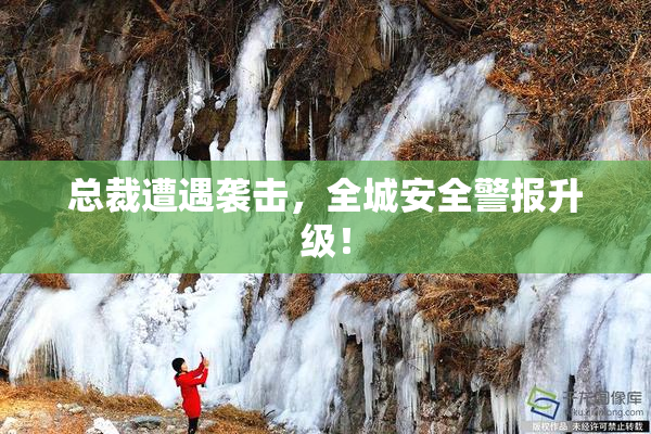 总裁遭遇袭击，全城安全警报升级！