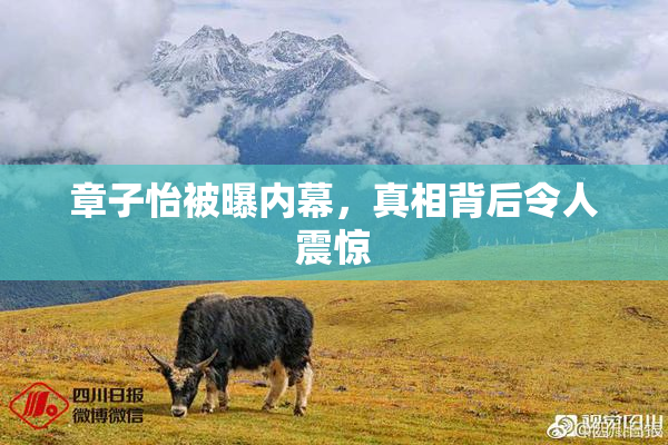 章子怡被曝内幕，真相背后令人震惊