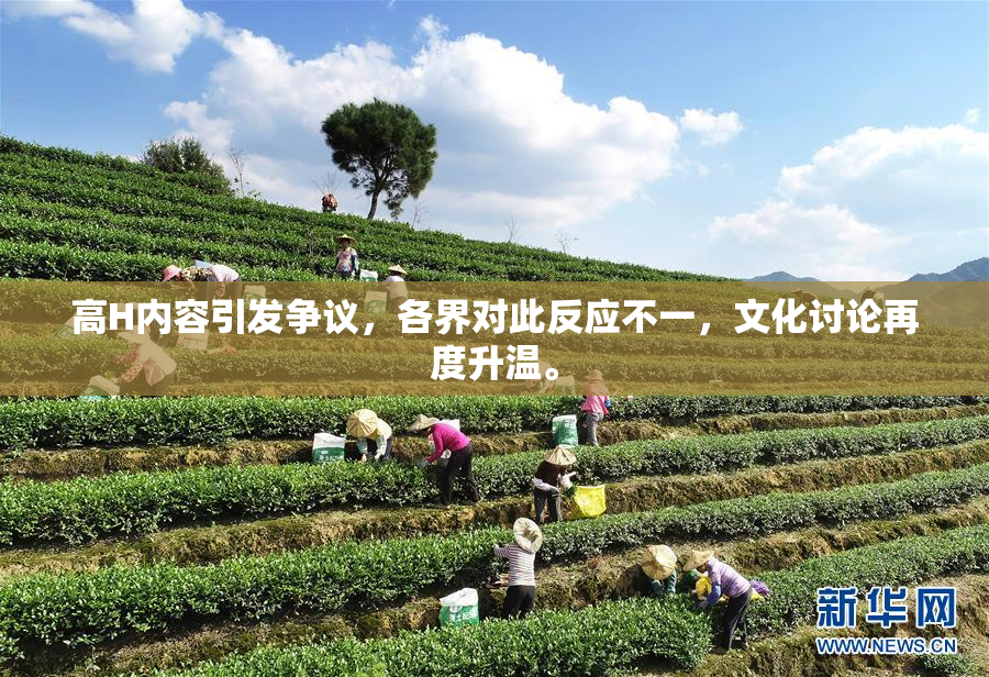 高H内容引发争议，各界对此反应不一，文化讨论再度升温。