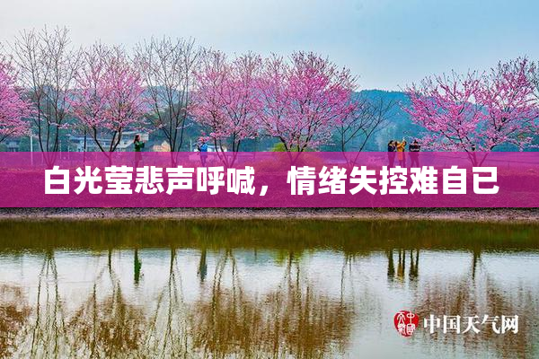 白光莹悲声呼喊，情绪失控难自已