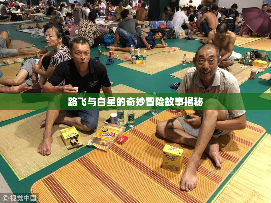 路飞与白星的奇妙冒险故事揭秘