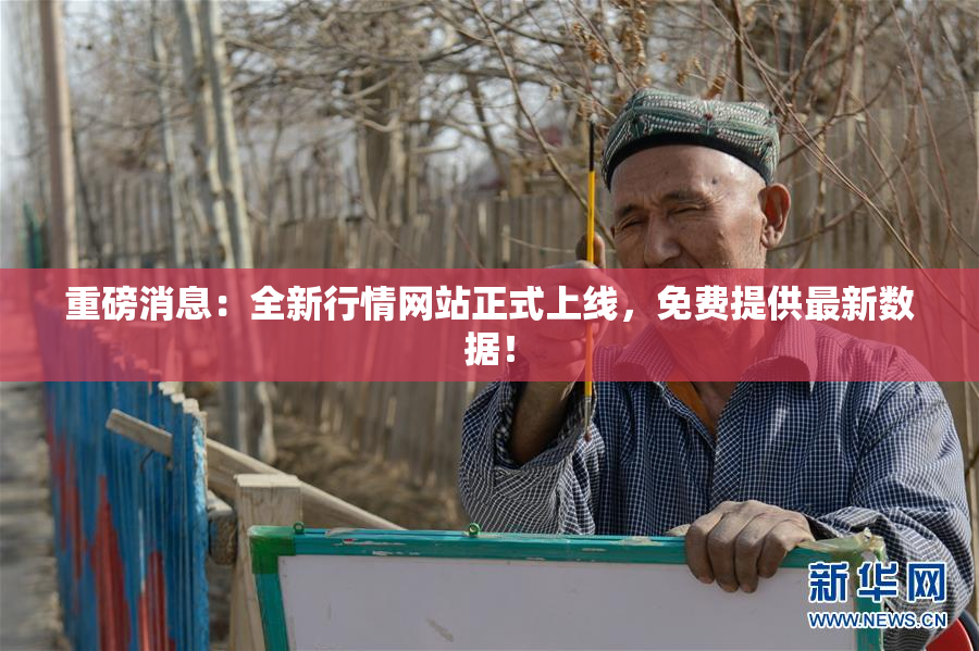 重磅消息：全新行情网站正式上线，免费提供最新数据！