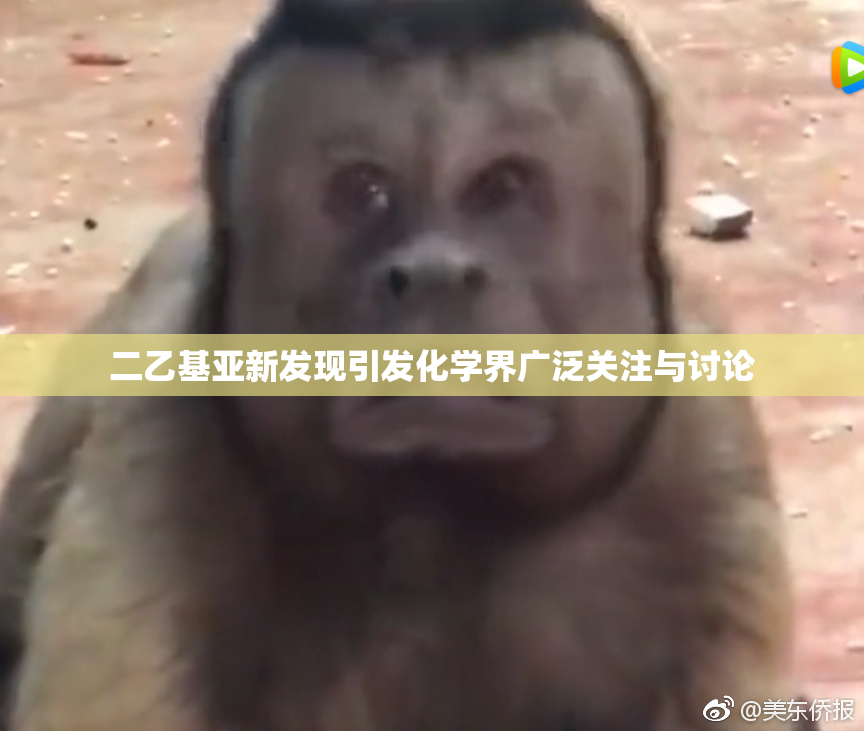二乙基亚新发现引发化学界广泛关注与讨论