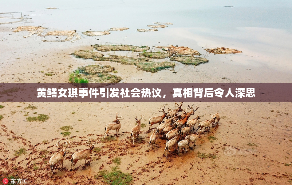 黄鳝女琪事件引发社会热议，真相背后令人深思