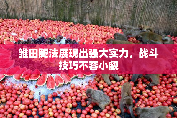 雏田腿法展现出强大实力，战斗技巧不容小觑