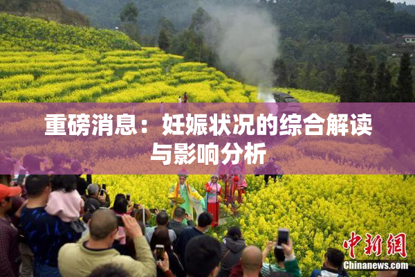重磅消息：妊娠状况的综合解读与影响分析