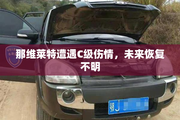 那维莱特遭遇C级伤情，未来恢复不明