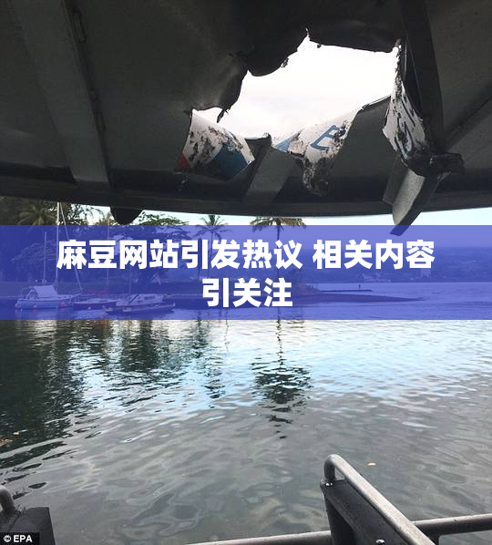 麻豆网站引发热议 相关内容引关注