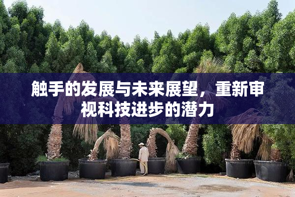 触手的发展与未来展望，重新审视科技进步的潜力