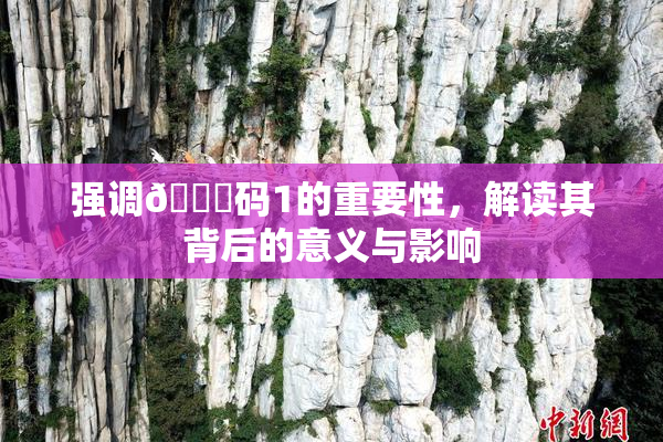 强调🈚码1的重要性，解读其背后的意义与影响