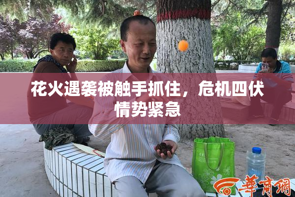 花火遇袭被触手抓住，危机四伏情势紧急