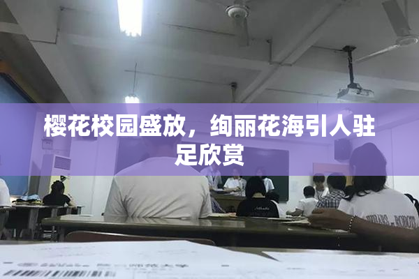 樱花校园盛放，绚丽花海引人驻足欣赏